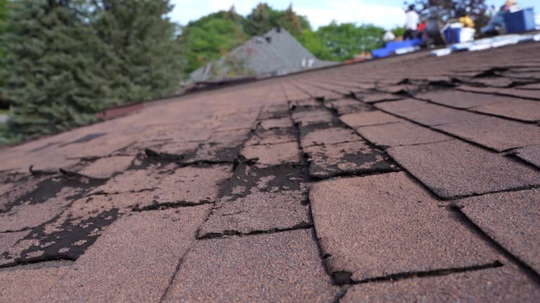 Best Gutter Installation and Repair  in Rangely, CO